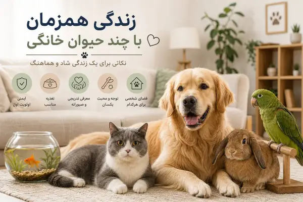 زندگی همزمان با چند حیوان خانگی